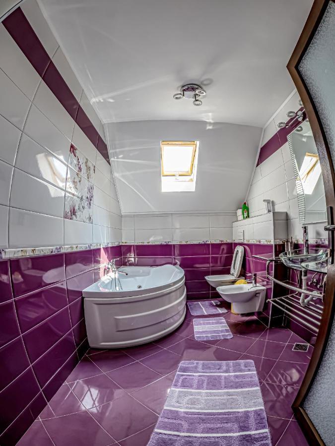 Casa Iulia Villa Pojorita Luaran gambar