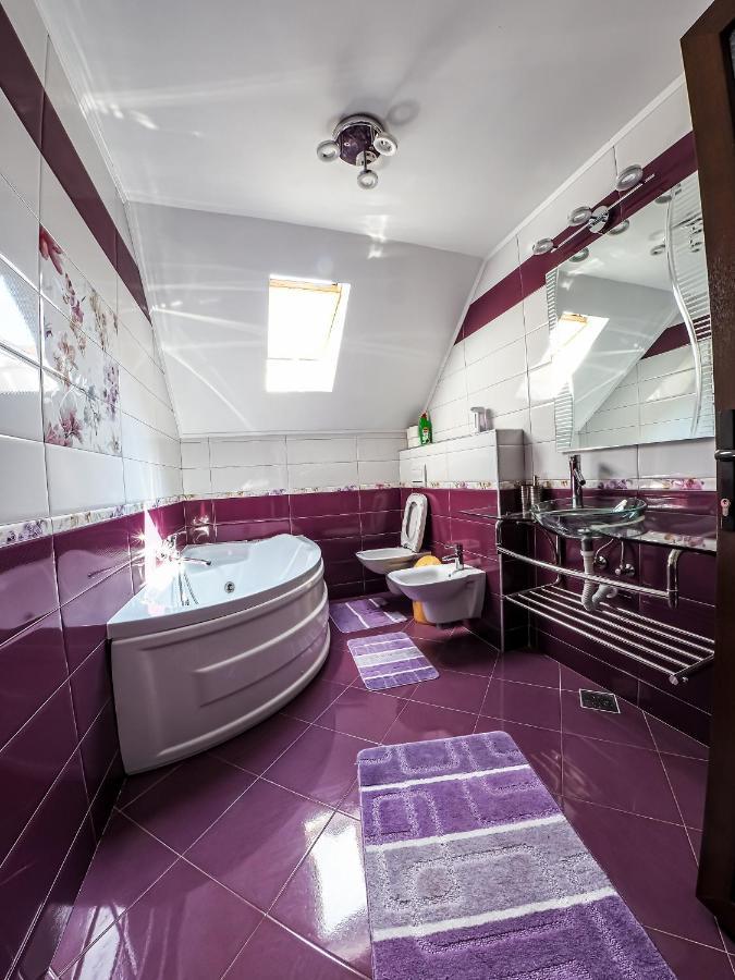Casa Iulia Villa Pojorita Luaran gambar